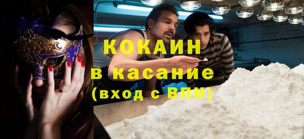 индика Абаза