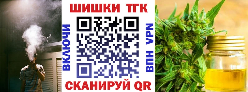 Бошки Шишки план  Полярный 